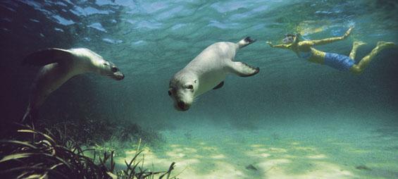 Voyage sur-mesure, Baird Bay